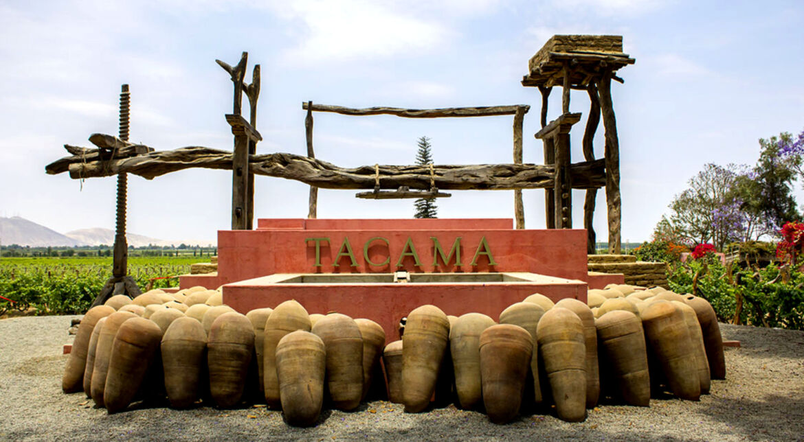 visita-las-bodegas-de-pisco-en-ica