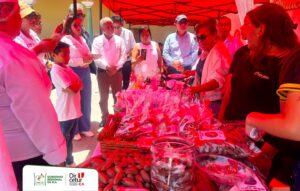 558015160 1114663287524195 4815221918962433914 n IdesoTV | Noticias del Peru y el Mundo-idesotv-noticias-ica