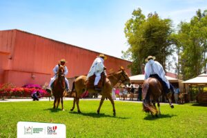 ADHESION Y ENTREGA DE DISTINTIVOS DE NUEVAS BODEGAS QUE INTEGRAN LA RUTA DEL PISCO EN LA REGIÓN ICQ-idesotv-noticias-ica 571783376 1131695369154320 1742501717175781011 n IdesoTV | Noticias del Peru y el Mundo-idesotv-noticias-ica