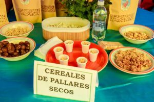 08027ad2 c605 4566 9089 d3a8fd122420 IdesoTV | Noticias del Peru y el Mundo-idesotv-noticias-ica